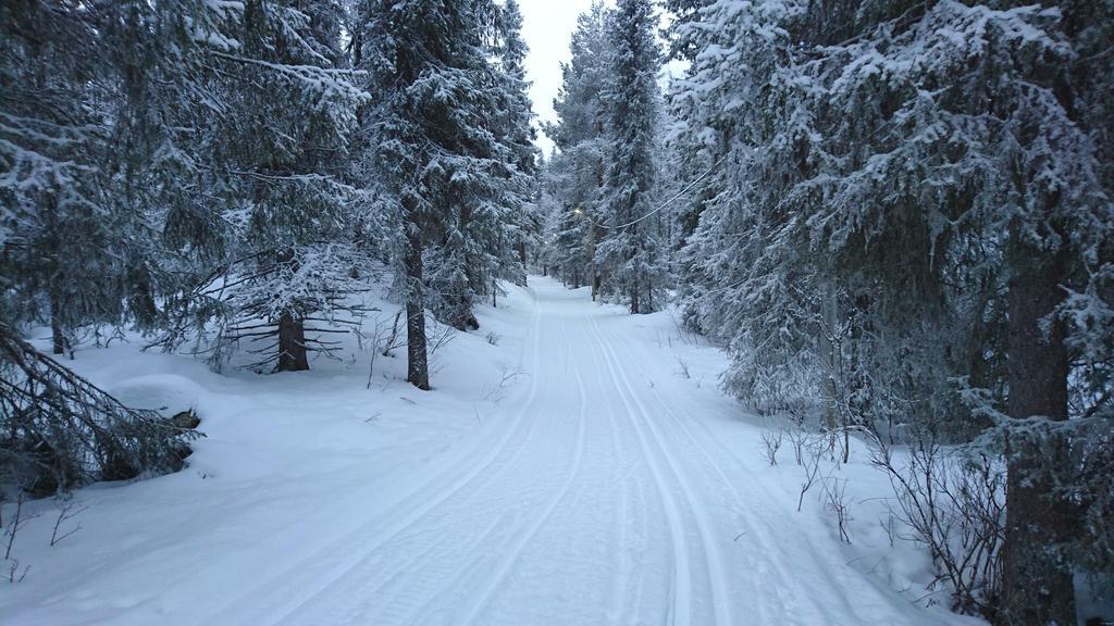 Lapland Snow Cabin Masugnsbyn ภายนอก รูปภาพ