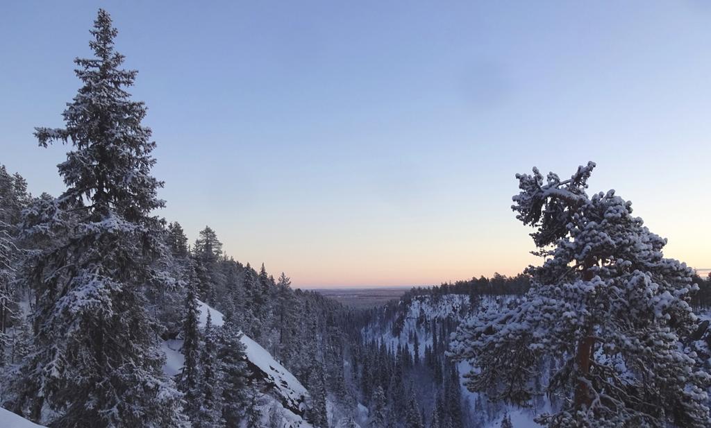 Lapland Snow Cabin Masugnsbyn ภายนอก รูปภาพ