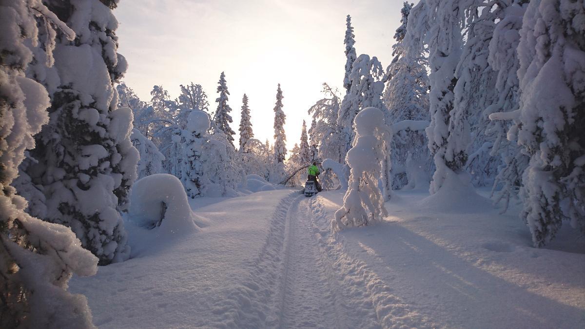 Lapland Snow Cabin Masugnsbyn ภายนอก รูปภาพ